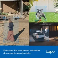 TP-Link TAPO C520WS, 4Mpix, Outdoor Pan/Tilt Security Wi-Fi/LAN Camera 6