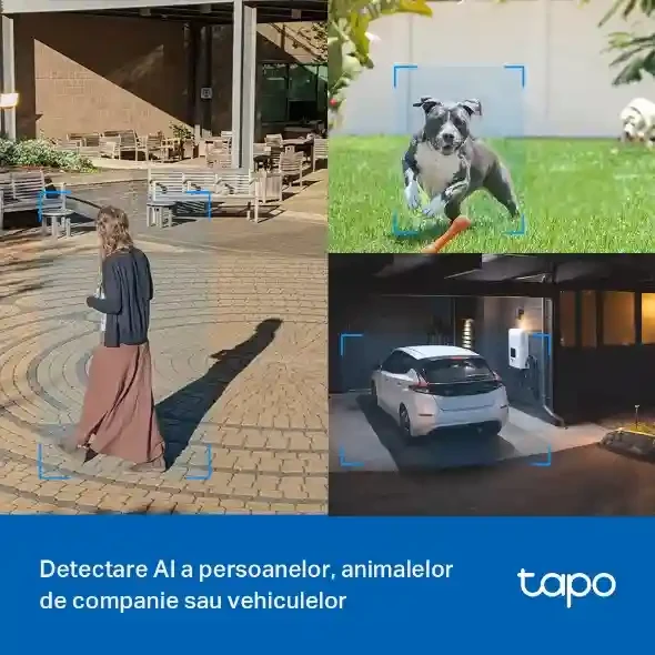 TP-Link TAPO C520WS, 4Mpix, Outdoor Pan/Tilt Security Wi-Fi/LAN Camera 6